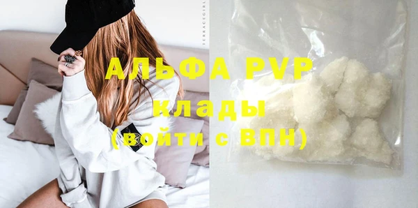 ГАЛЛЮЦИНОГЕННЫЕ ГРИБЫ Елабуга