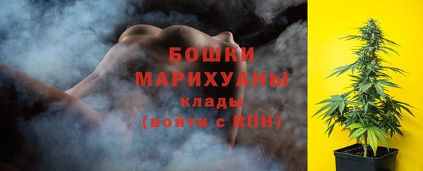 ГАЛЛЮЦИНОГЕННЫЕ ГРИБЫ Елабуга