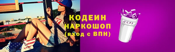 МДПВ Ельня