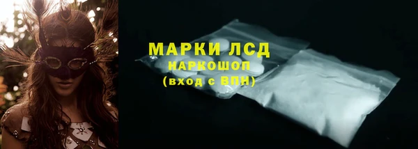 ГАЛЛЮЦИНОГЕННЫЕ ГРИБЫ Елабуга