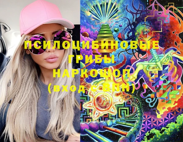 МДПВ Ельня