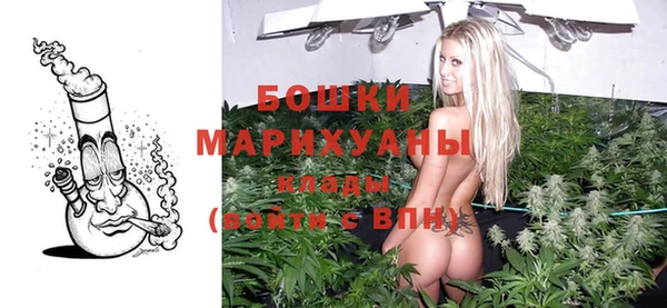 МДПВ Ельня