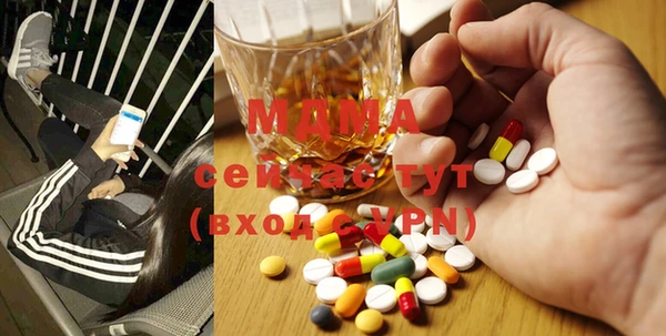 МДПВ Ельня