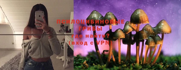 ГАЛЛЮЦИНОГЕННЫЕ ГРИБЫ Елабуга