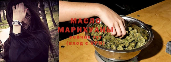 МДПВ Ельня