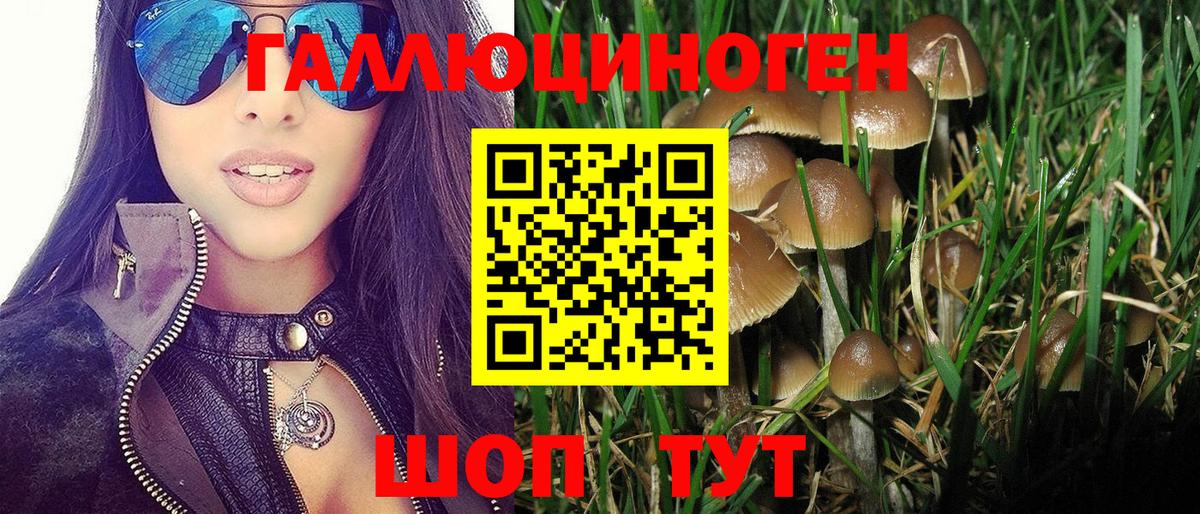 Псилоцибиновые грибы Psilocybine cubensis  Псилоцибиновые грибы Psilocybe  Вход с VPN  Сланцы 
