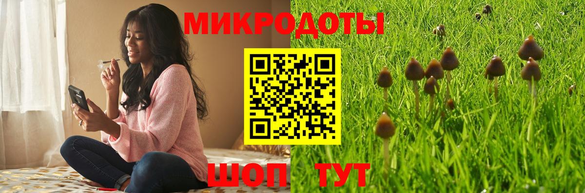 Псилоцибиновые грибы Psilocybe Сланцы
